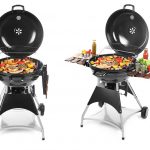 Top 5 Best Portable Gas Grill